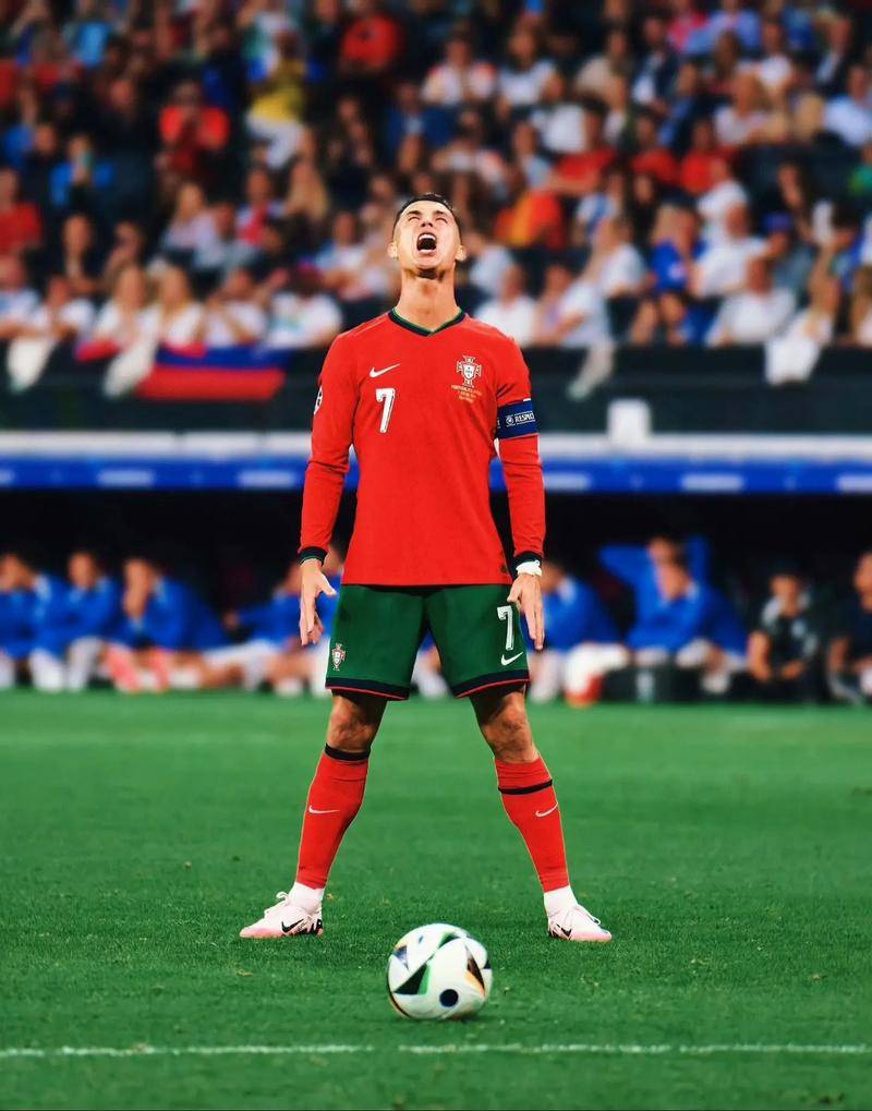 他成为荷兰 他成为荷兰