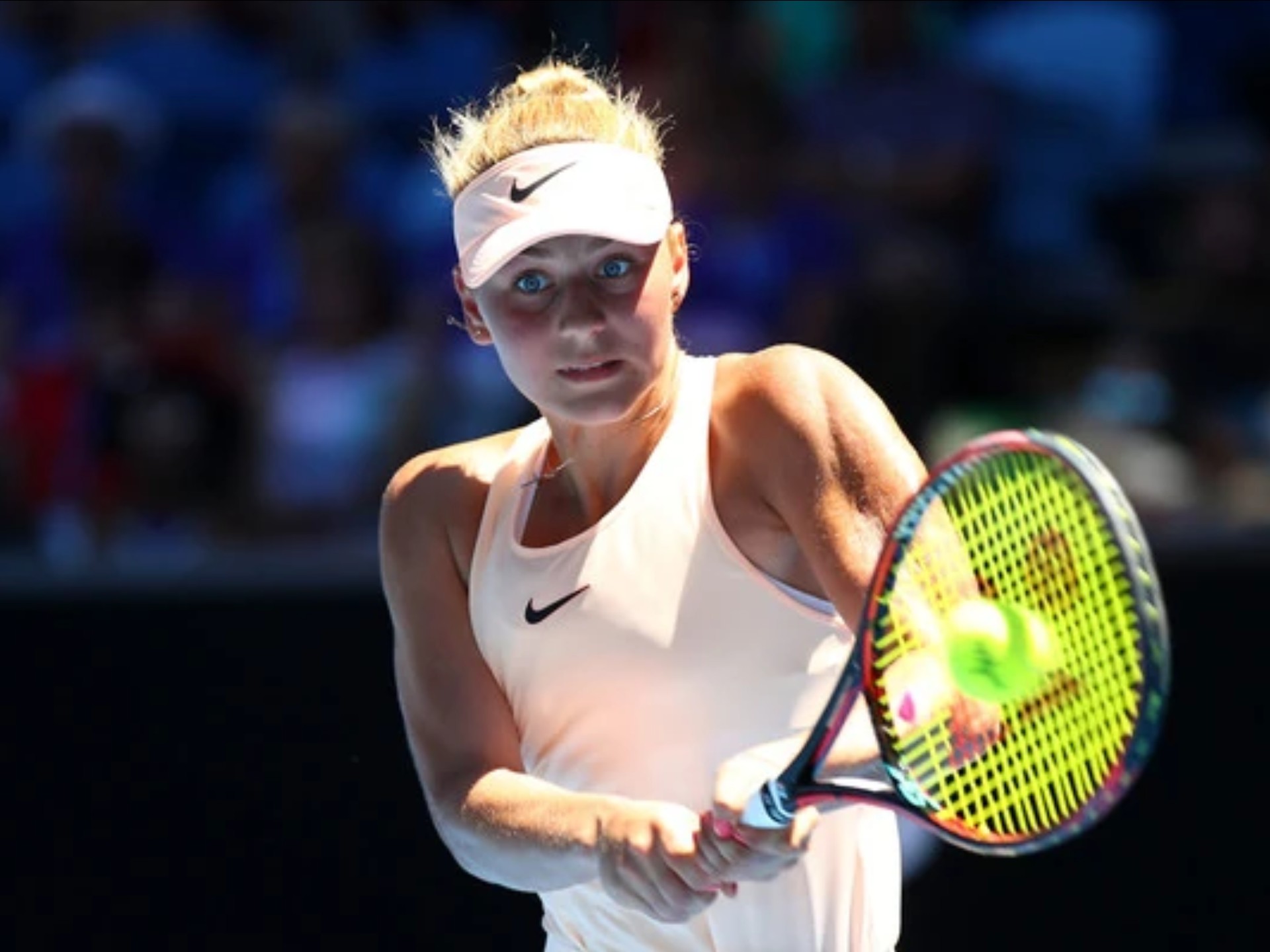 多样性和灵 多样性和灵