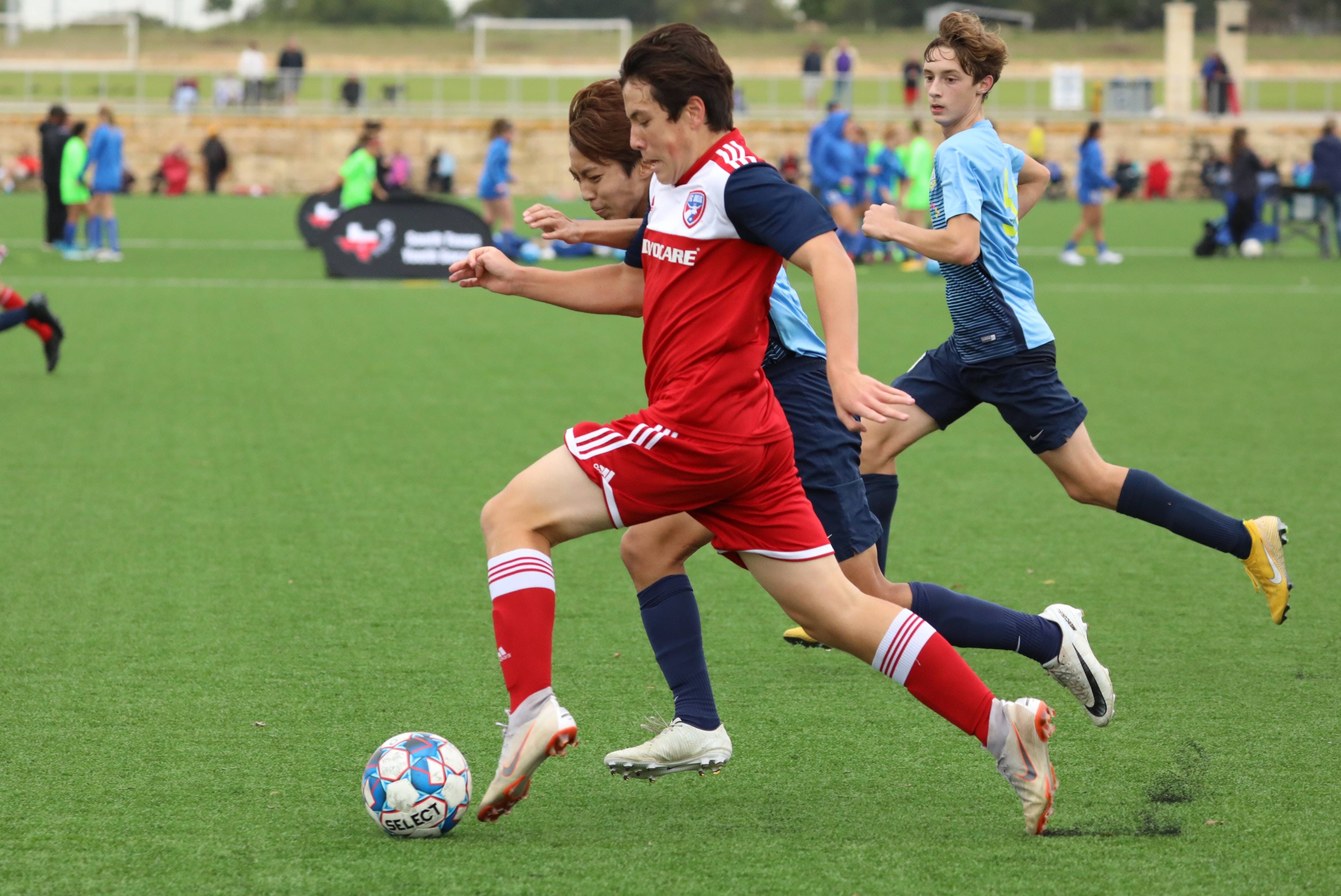 力巩固了自 力巩固了自