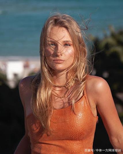 新性不足 新性不足