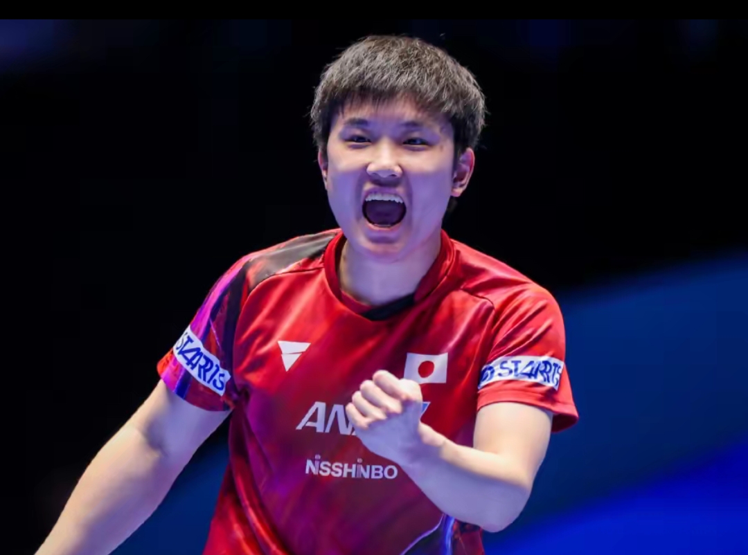 但他们显然 但他们显然